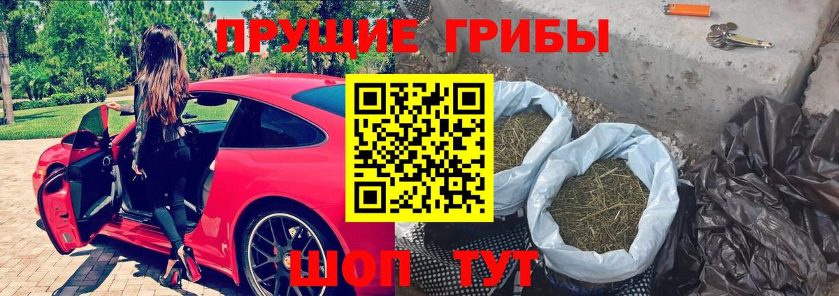 закладка  Псилоцибиновые грибы прущие грибы  Вход с VPN  Псилоцибиновые грибы MAGIC MUSHROOMS  Кохма 