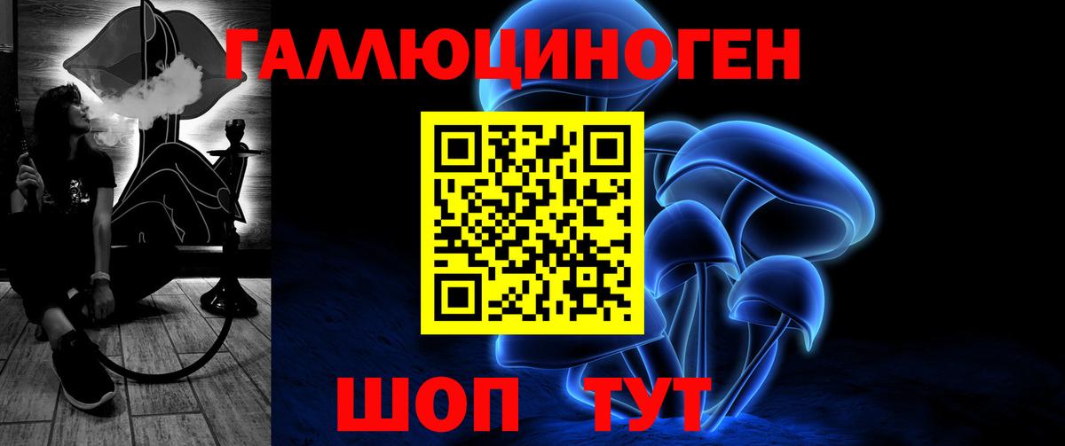 Галлюциногенные грибы Psilocybe Кохма